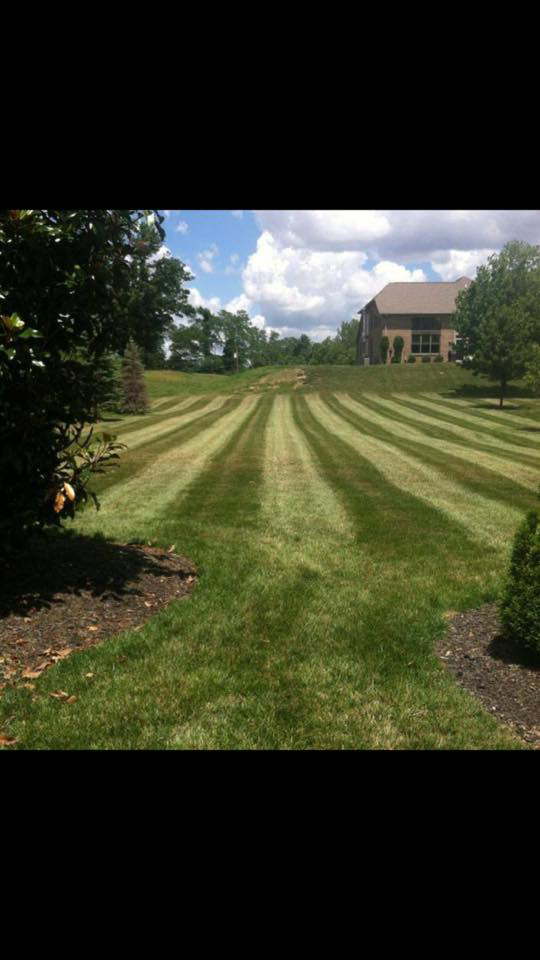 A large residential lawn with neat mowing stripes, professionally maintained by Brothers Lawn Care LLC in Florence, KY.
