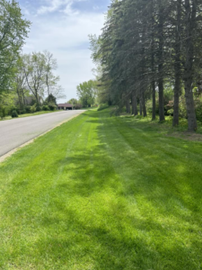 A professionally mowed lawn with distinct stripes by J&C Lawn Care Service in Madison, WI.