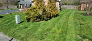 A beautifully mowed residential lawn with crisp stripes and well-kept shrubs, a service by Parks' Lawn Care in Hagerstown, MD.