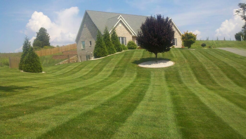 A large, sloped lawn with distinct mowing stripes, showcasing professional lawn care by Ryan's Lawn Service, LLC in Charlotte, NC.
