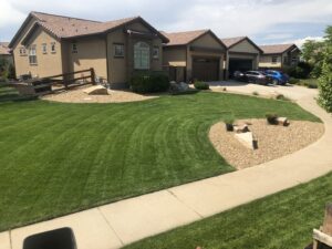 A large front yard with a professionally mowed lawn showing distinct stripes, a service by Front Range Finest in Fort Collins, CO.