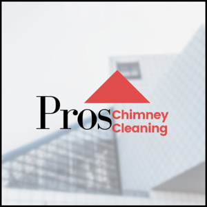 Pros Chimney Sweep Dryer Vent Cleaning Chicago Illinois