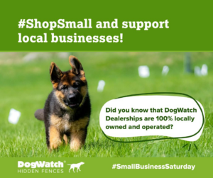 Puppy in a grassy yard with white hidden fence boundary flags installed by DogWatch of Greater Charleston in Mount Pleasant, SC.