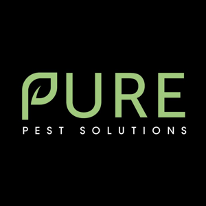 Pure Pest Solutions