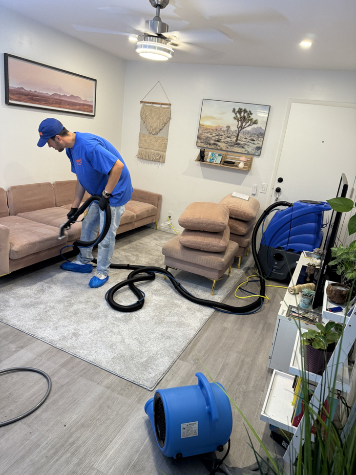 A Purli technician professionally cleaning an area rug in a client's living room in San Diego, CA.