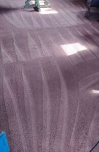 A vibrant purple carpet showing clean lines after professional cleaning by 765 Custom Cleaners in Lafayette, IN.