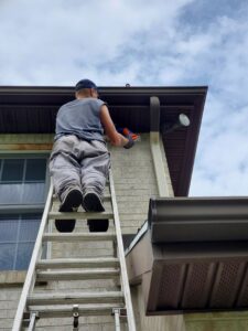 A wildlife technician next to a cage trap on a roof with a trapped raccoon, performing animal removal for Eagles Eye Wildlife in Waterbury, CT.