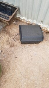 A rat's tail visible from a rodent bait station, indicating active pest control by House Doctor Exterminating in Glendale, AZ.