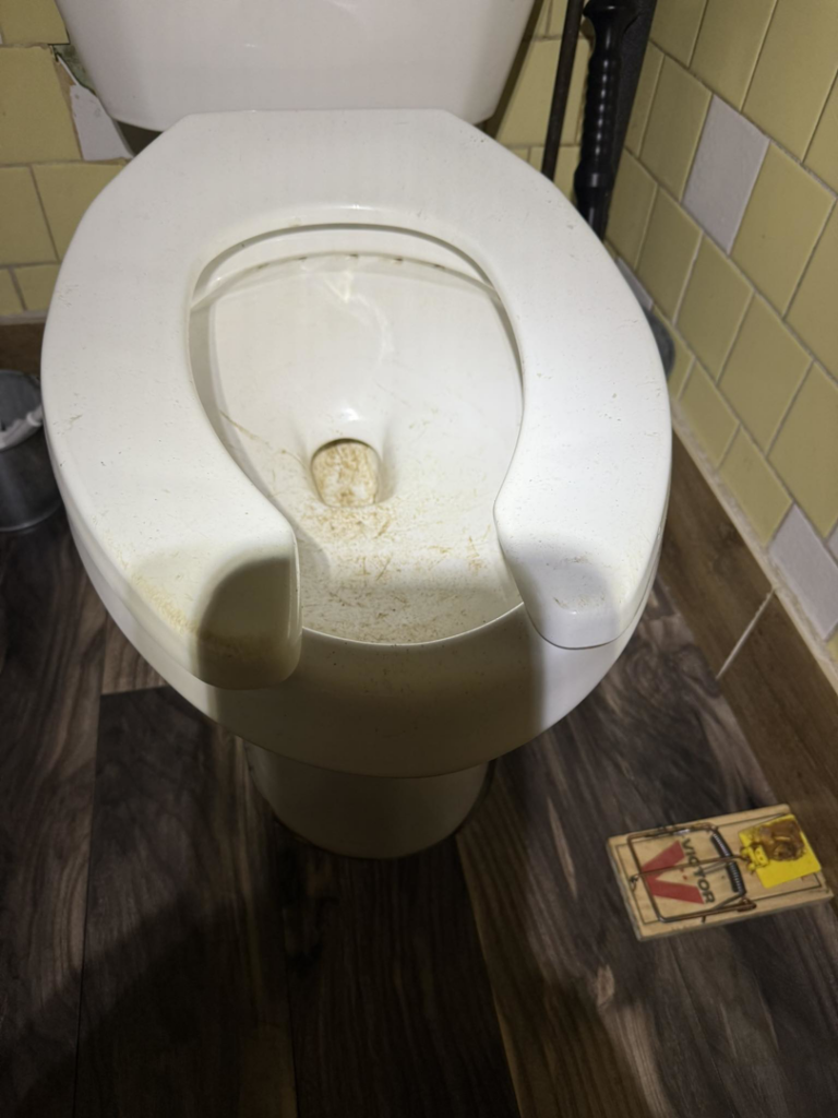 A rat trap placed on the floor next to a toilet, indicating pest control work by Rogue Valley Extermination & Pest Control in Medford, OR.