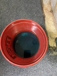 A red bucket containing blue liquid, likely antifreeze or a cleaning solution, used during HVAC service by Coe Heating & Air Conditioning in Fort Wayne, IN.