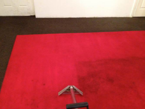 A professional carpet cleaning tool removing dirt from a red carpet, showing before and after, by Upholstery Cleaning Services in Los Angeles, CA.