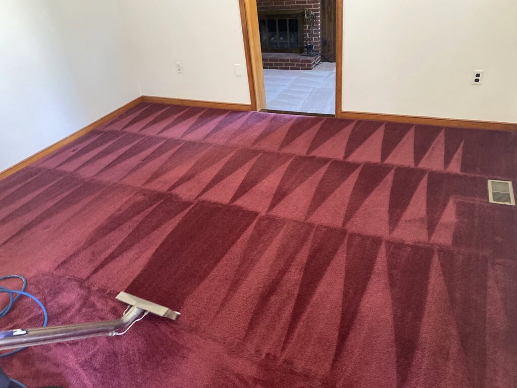 Professional red carpet cleaning service in progress showing cleaning patterns by RVA Steamer in Richmond, VA
