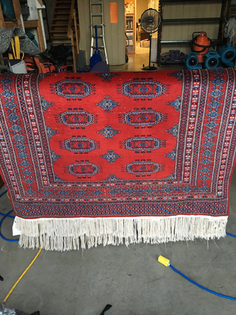 A vibrant red patterned rug hanging to dry after a professional cleaning service by Rug Renew in Spring Valley, CA.