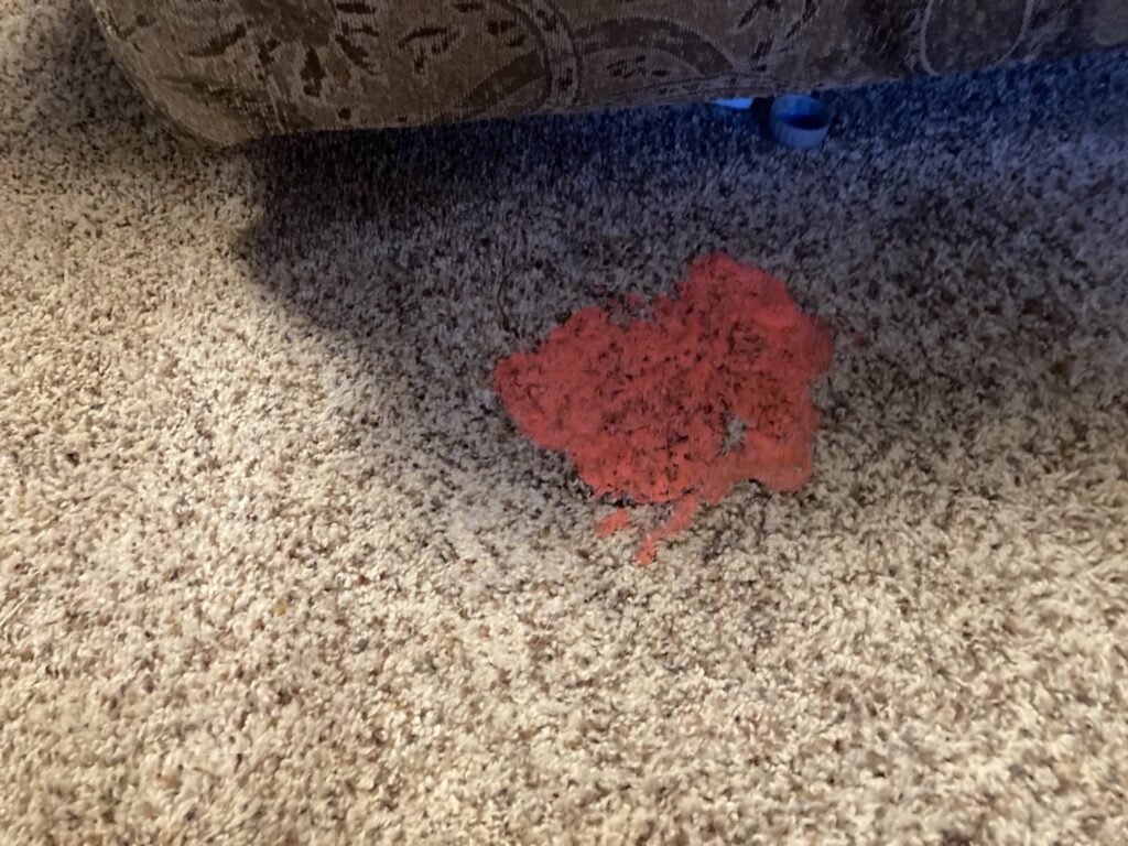 A red spill or stain on a carpet, showing a problem that Olen's Carpet & Upholstery Cleaning LLC can fix in Cleveland, OH.