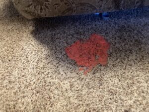 A red spill or stain on a carpet, showing a problem that Olen's Carpet & Upholstery Cleaning LLC can fix in Cleveland, OH.