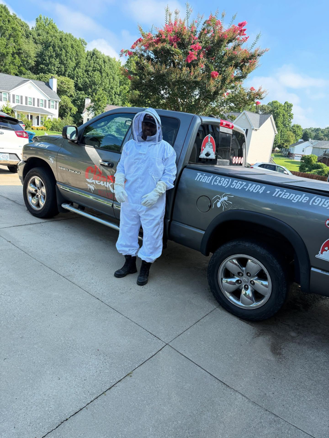 Pieces of a removed wasp or hornet nest lying on the grass after a pest control service by ClearCut Pest Control Inc. in High Point, NC.