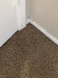 A neatly repaired carpet corner after service by Magic Wand Services in Wichita, KS
