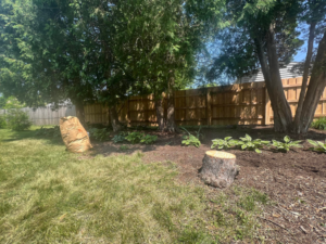 A residential backyard featuring a newly installed wood privacy fence and landscaping by Northern Fence, Inc. in Appleton, WI.