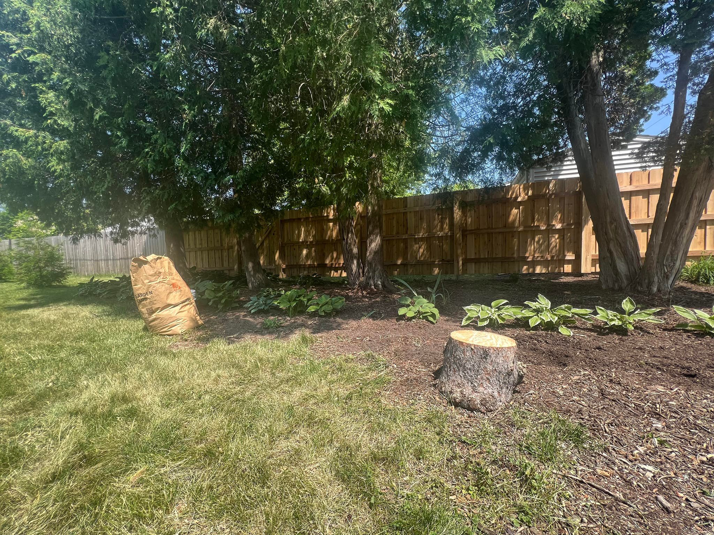 A residential backyard featuring a newly installed wood privacy fence and landscaping by Northern Fence, Inc. in Appleton, WI.