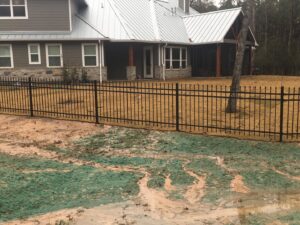 A newly installed black ornamental iron fence surrounding a residential property by Texas Fence and Iron Co. in Houston, TX.