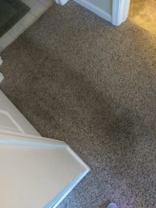 A clean, textured brown residential carpet, demonstrating the quality service of Real Green Cleaning in Indianapolis, IN.