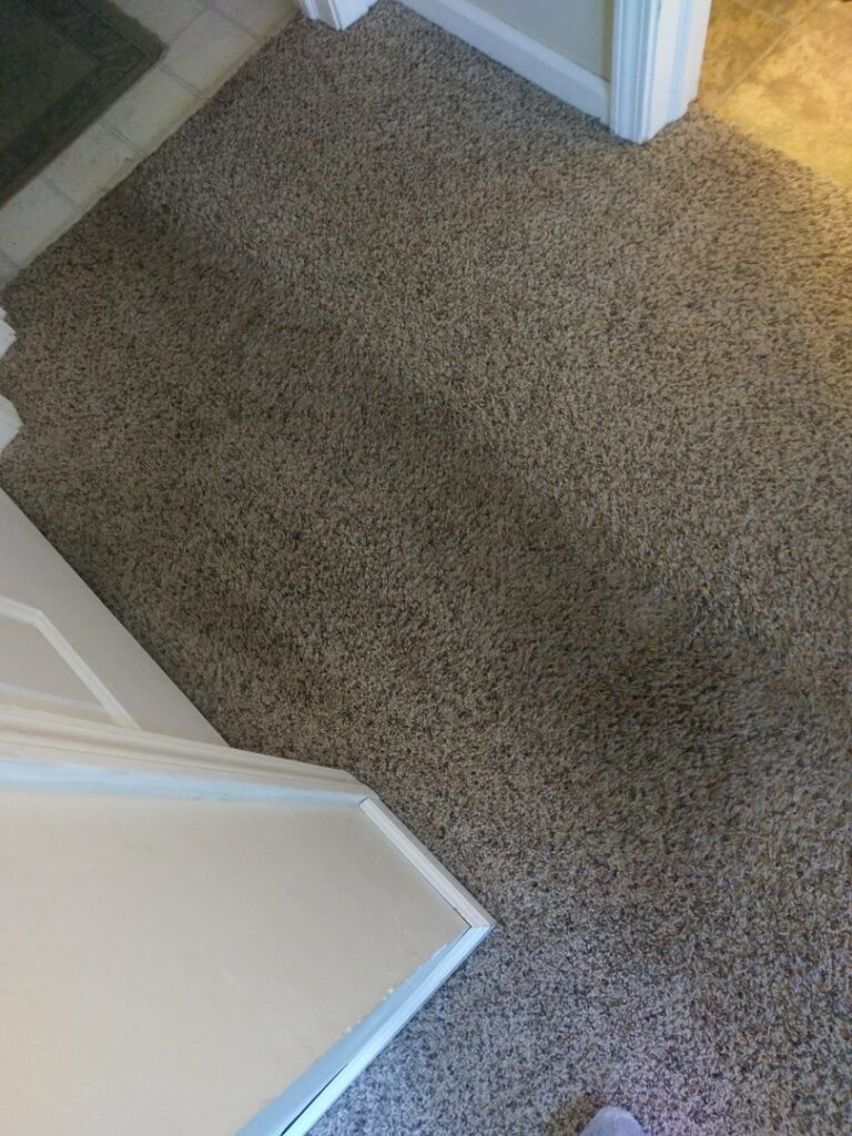 A clean, textured brown residential carpet, demonstrating the quality service of Real Green Cleaning in Indianapolis, IN.