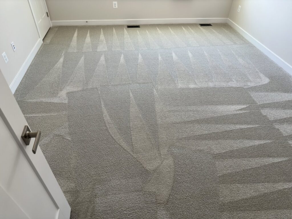 Clean residential carpet with visible cleaning lines by Oxi Fresh Carpet Cleaning in Frederick, MD