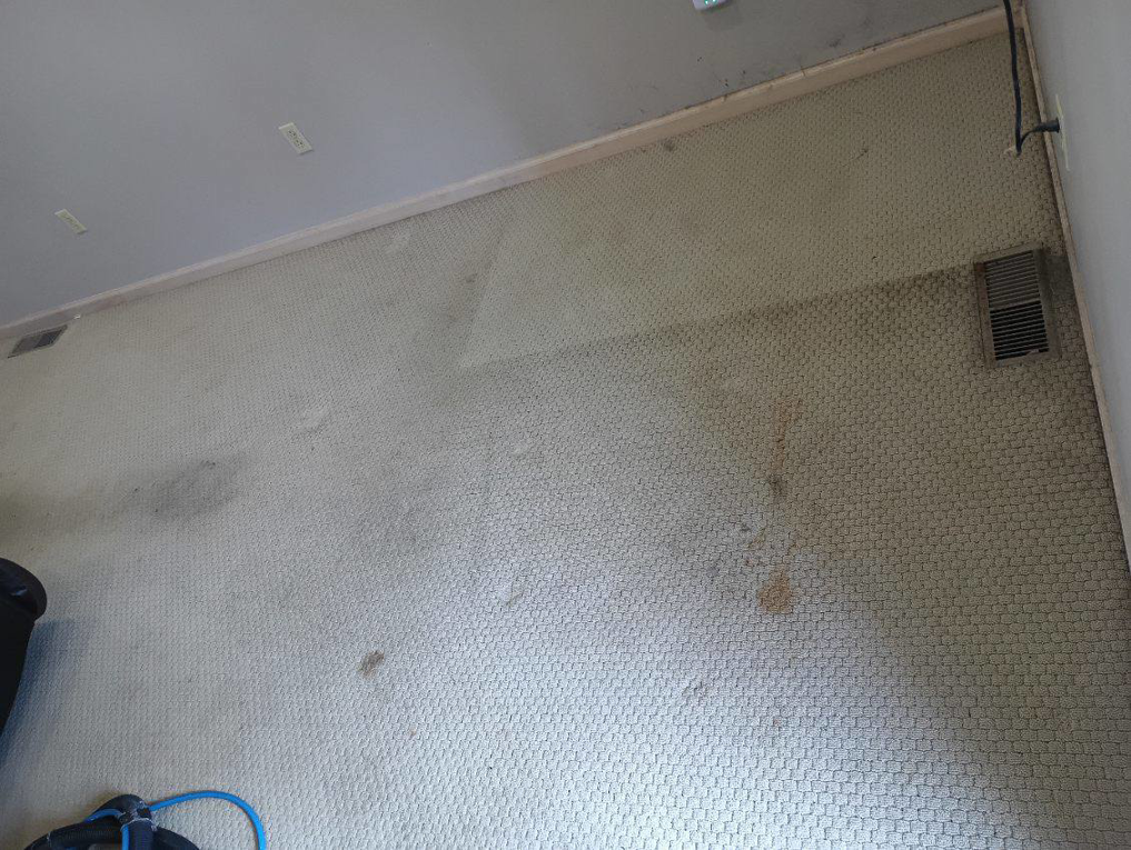 Residential carpet showing dirty and clean areas during a cleaning job by Rowland Brothers Carpet Cleaning Service in Morgantown, WV