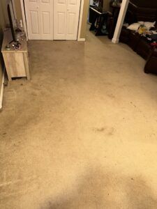 A residential carpet with visible dirt and stains before professional cleaning by Top Dog Carpet Cleaning in Belton, MO.