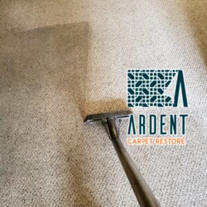 A carpet cleaning wand cleaning a light-colored residential carpet by Ardent Carpet Restore in Sacramento, CA.