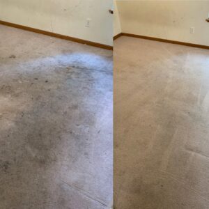 Before and after view of a residential carpet after professional cleaning by Columbia Carpet Cleaning in Columbia, MO.