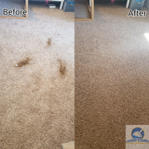 Residential carpet cleaning before and after service by Gateway Steamers in Austin, TX