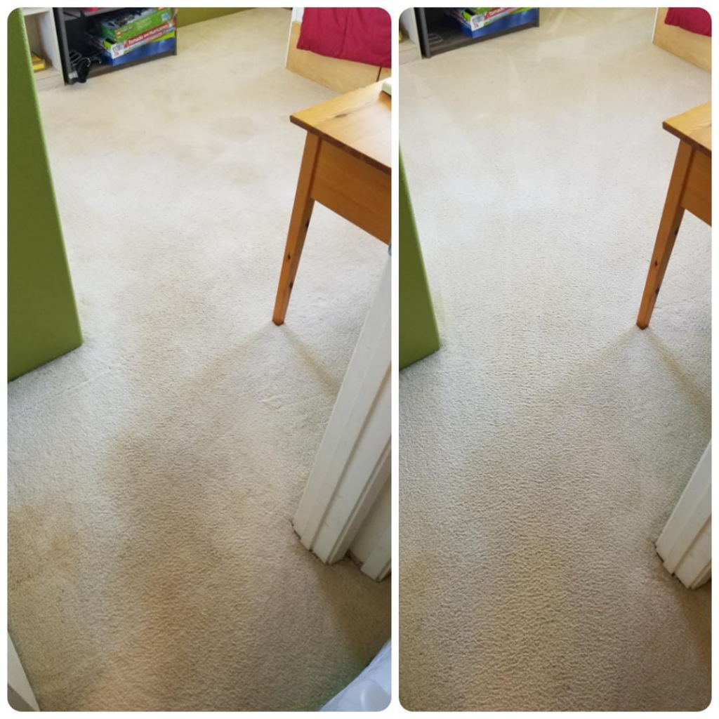 Residential carpet cleaning before and after by Gold Star Cleaning LLC in Rock Falls, IL