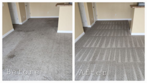 Before and after comparison of residential carpet cleaning in a living area by Hawkins Carpet Cleaning in Owensboro, KY