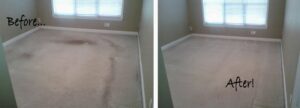 Before and after comparison of residential carpet cleaning by Metro Steamway Inc. in Charlotte, NC.