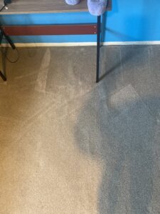 A residential carpet showing a clear before and after cleaning difference by Sunshine Carpet Cleaning in Waterbury, CT.