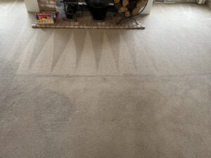 Residential carpet cleaning in progress, with visible clean lines from Captain Clean's service in Muncie, IN.
