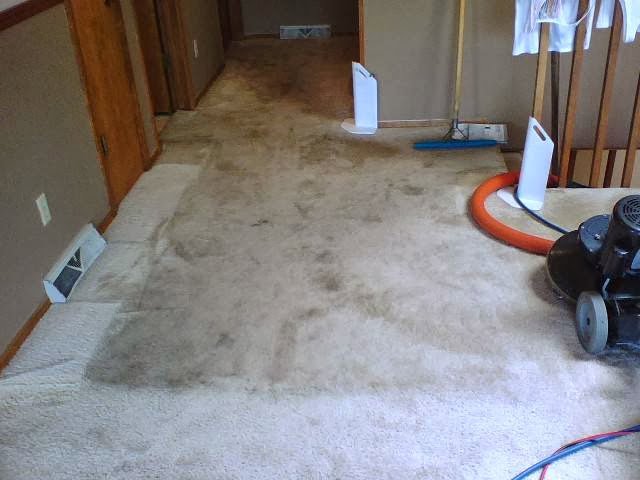Residential carpet cleaning in progress, showing clean and dirty sections by Care Rite Cleaning & Protection Specialists, Inc in Rapid City, SD.