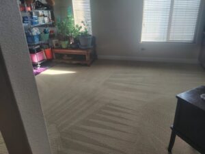 Residential carpet cleaning results with fresh vacuum lines by Eco Clean Carpet and Tile Care in Rocklin, CA