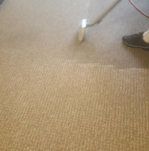 A professional carpet cleaning service in progress by Harper's Cleaning Services in Anaheim, CA.