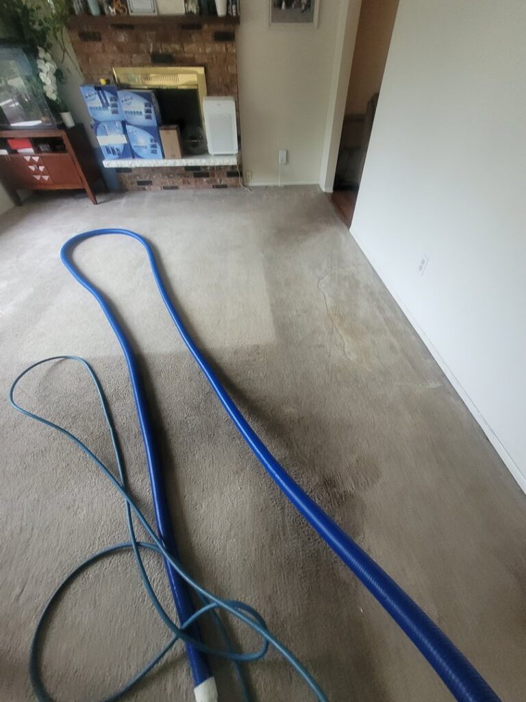 Residential carpet cleaning with a blue hose and visible clean lines by PDX STAR in Happy Valley, OR
