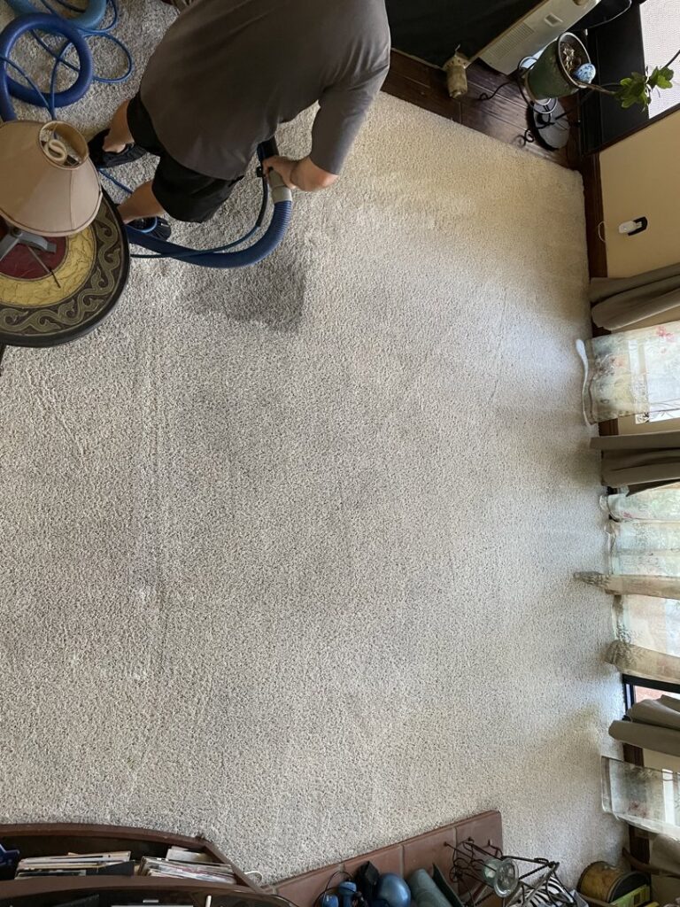 A professional cleaning a light-colored residential carpet, showing a clear before and after, by JS Carpet Cleaning in San Jose, CA