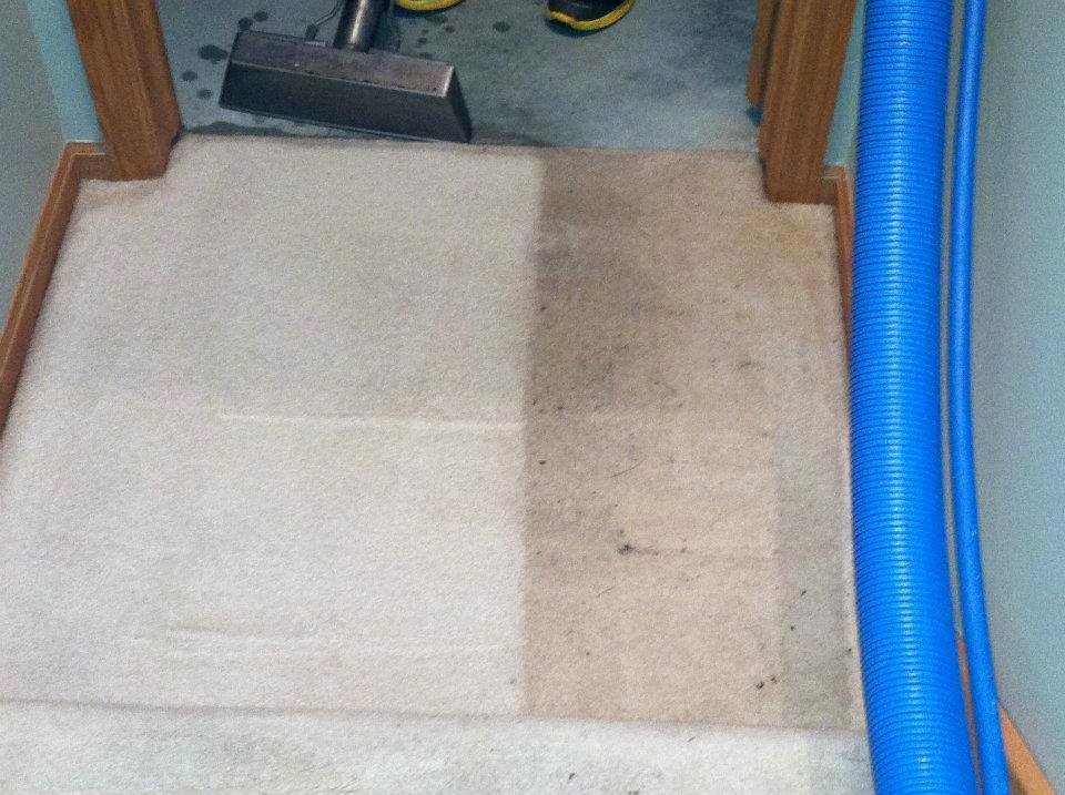 A residential carpet being cleaned with a wand, showing a clear before and after difference by Quality Floor Care LLC in Rogers, AR.