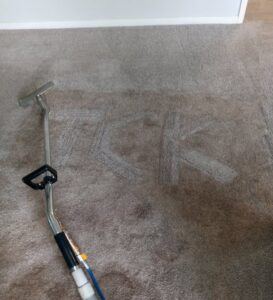Residential carpet cleaning in progress, showing a dirty and clean section by TCK Carpet Cleaning in Indianapolis, IN.