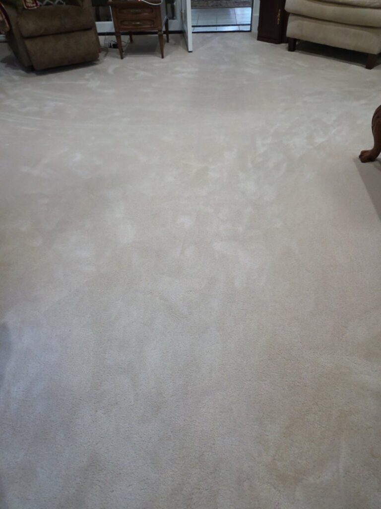 A residential carpet showing areas before and after cleaning, demonstrating the effectiveness of Thomas' Carpet Cleaning & Restoration Service, LLC in Clarksville, TN.