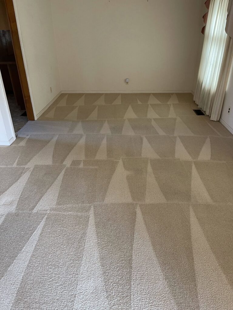 Residential carpet showing distinct cleaning lines after service by Jones Carpet Care LLC in Huntsville, AL.