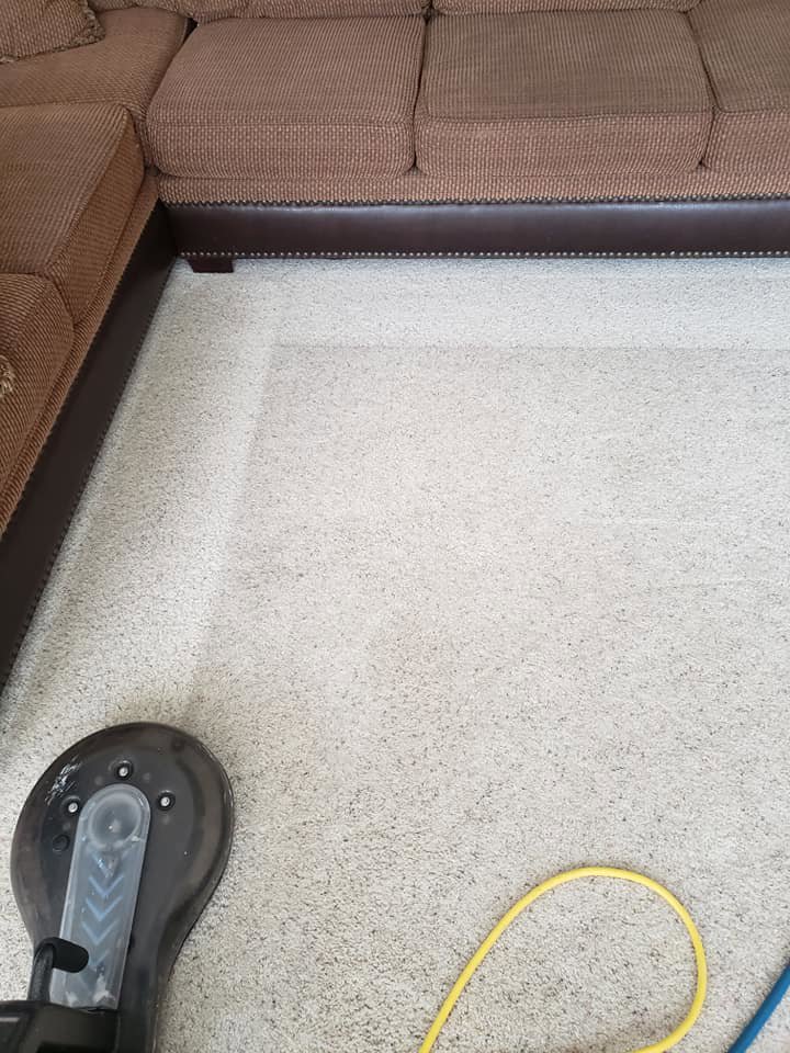 A professional carpet cleaning machine in action on a light-colored residential carpet by JP Carpet & Tile Care in Sherman Oaks, CA.