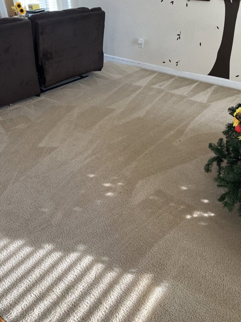 Residential carpet showing distinct cleaning patterns after professional service by Kingdom Kleen in Portsmouth, VA.