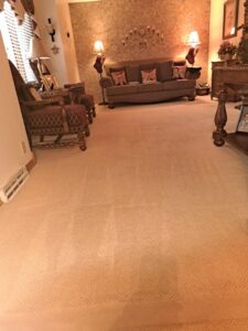 Residential carpet showing excellent cleaning results from Let George Do It Carpet Cleaning in Omaha, NE.