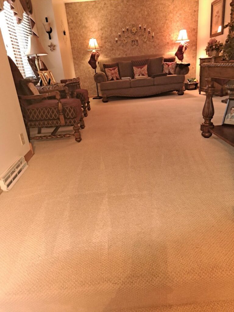 Residential carpet showing excellent cleaning results from Let George Do It Carpet Cleaning in Omaha, NE.